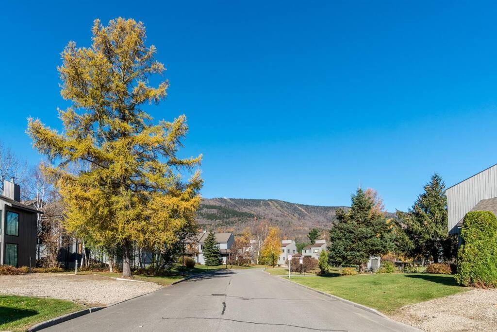 Villa Initial - Sommet - Mont-Sainte-Anne Beaupré Exterior foto